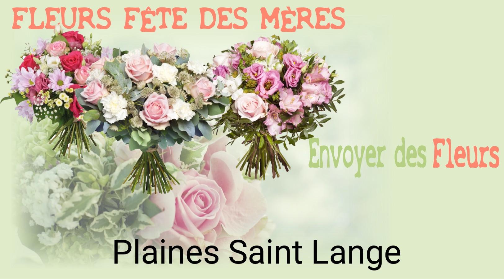 Bouquet de Fête des Mères livré à Plaines-Saint-Lange